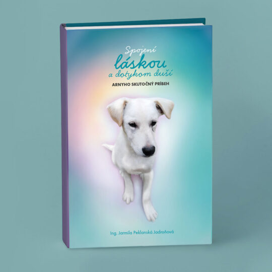 Arnyho príbeh, knižný dizajn, beletria