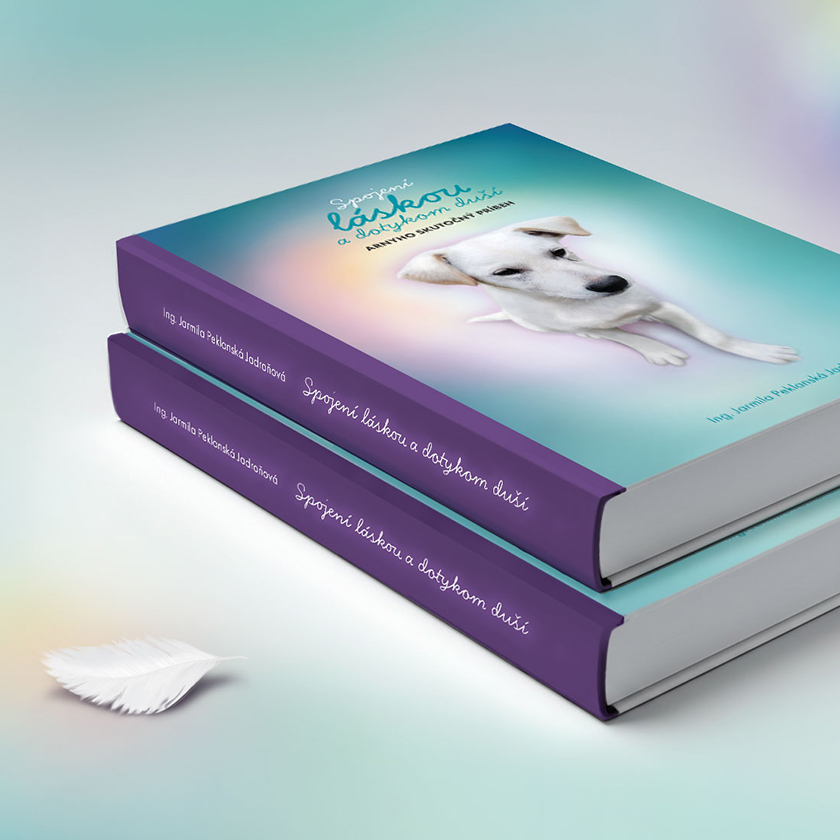 Príbeh Arnyho, dizajn knihy, dizajn obálky, publikácia.