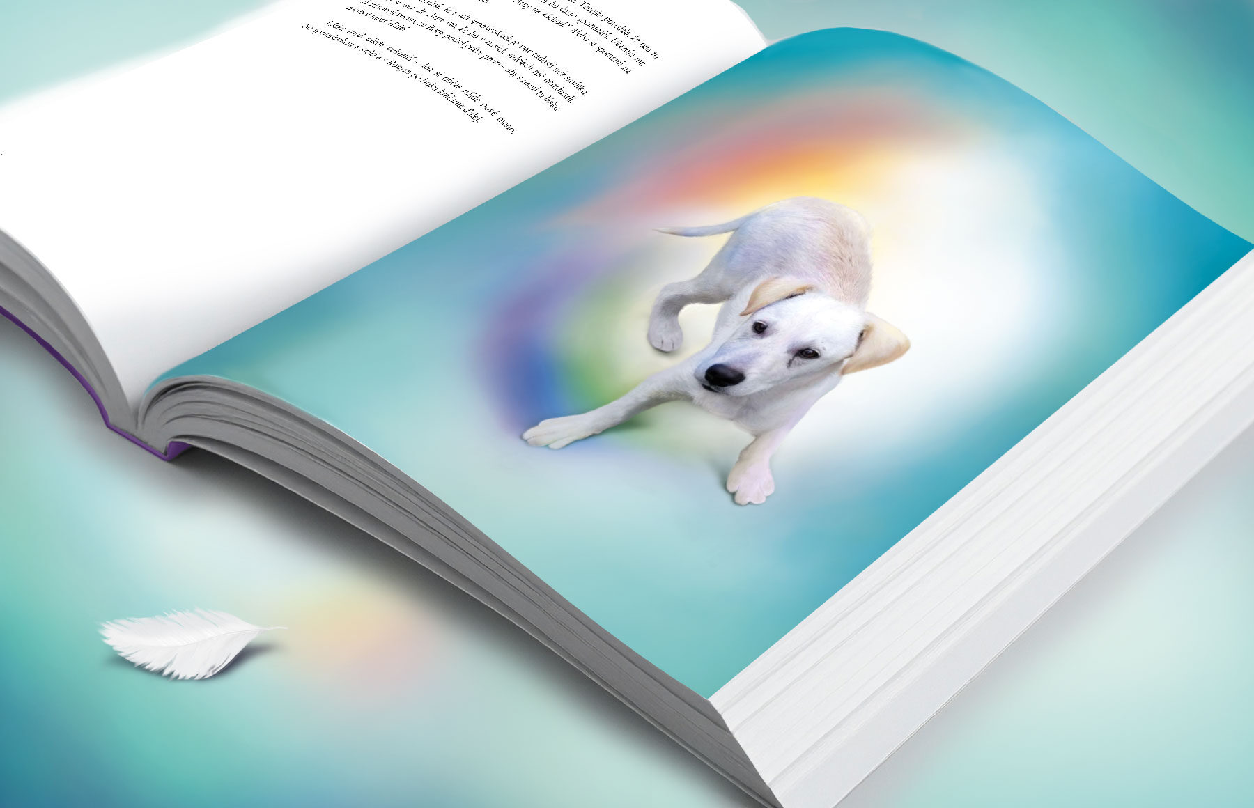 Príbeh Arnyho, dizajn knihy, dizajn obálky, publikácia