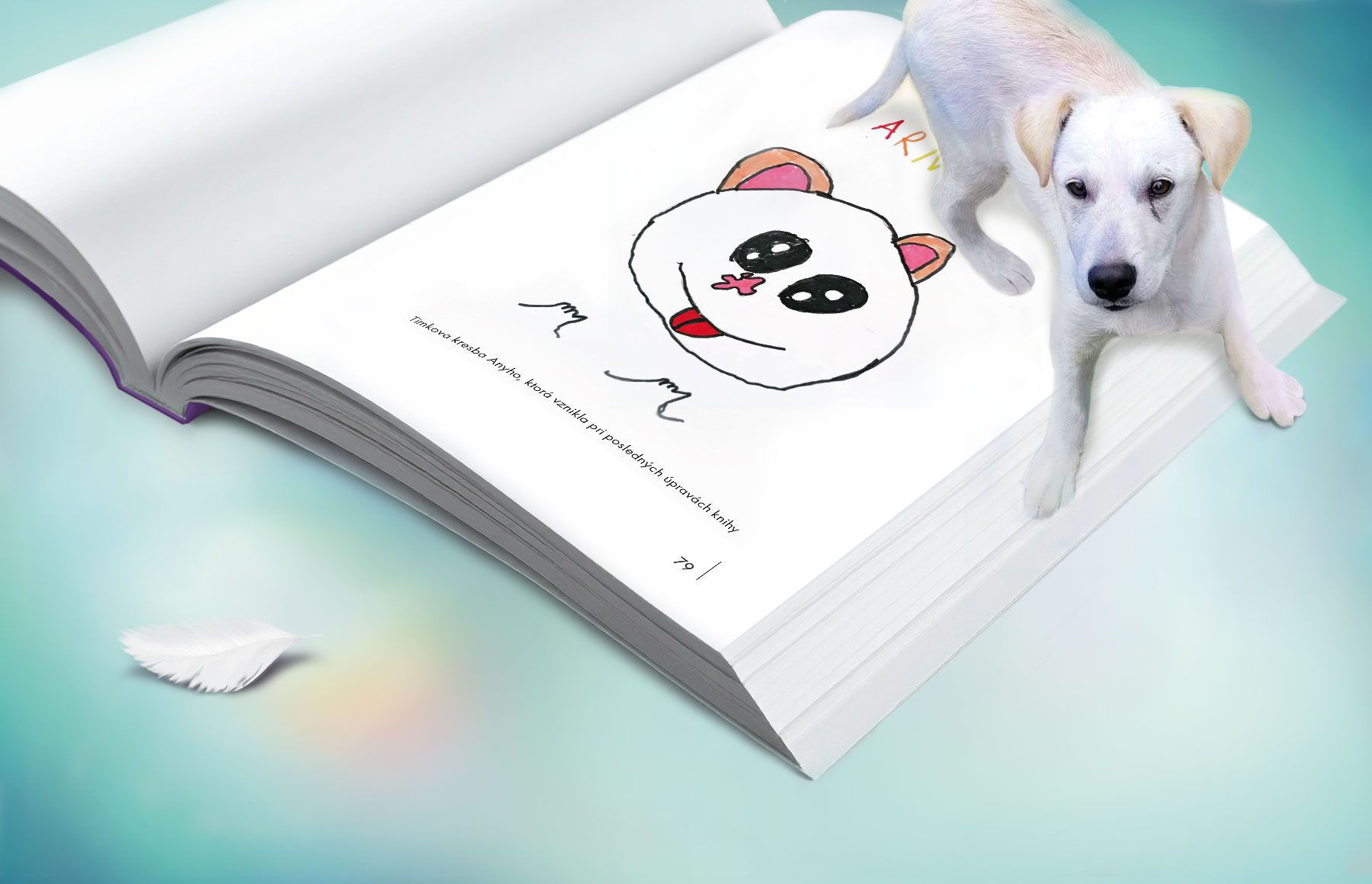 Príbeh Arnyho, dizajn knihy, dizajn obálky, publikácia.